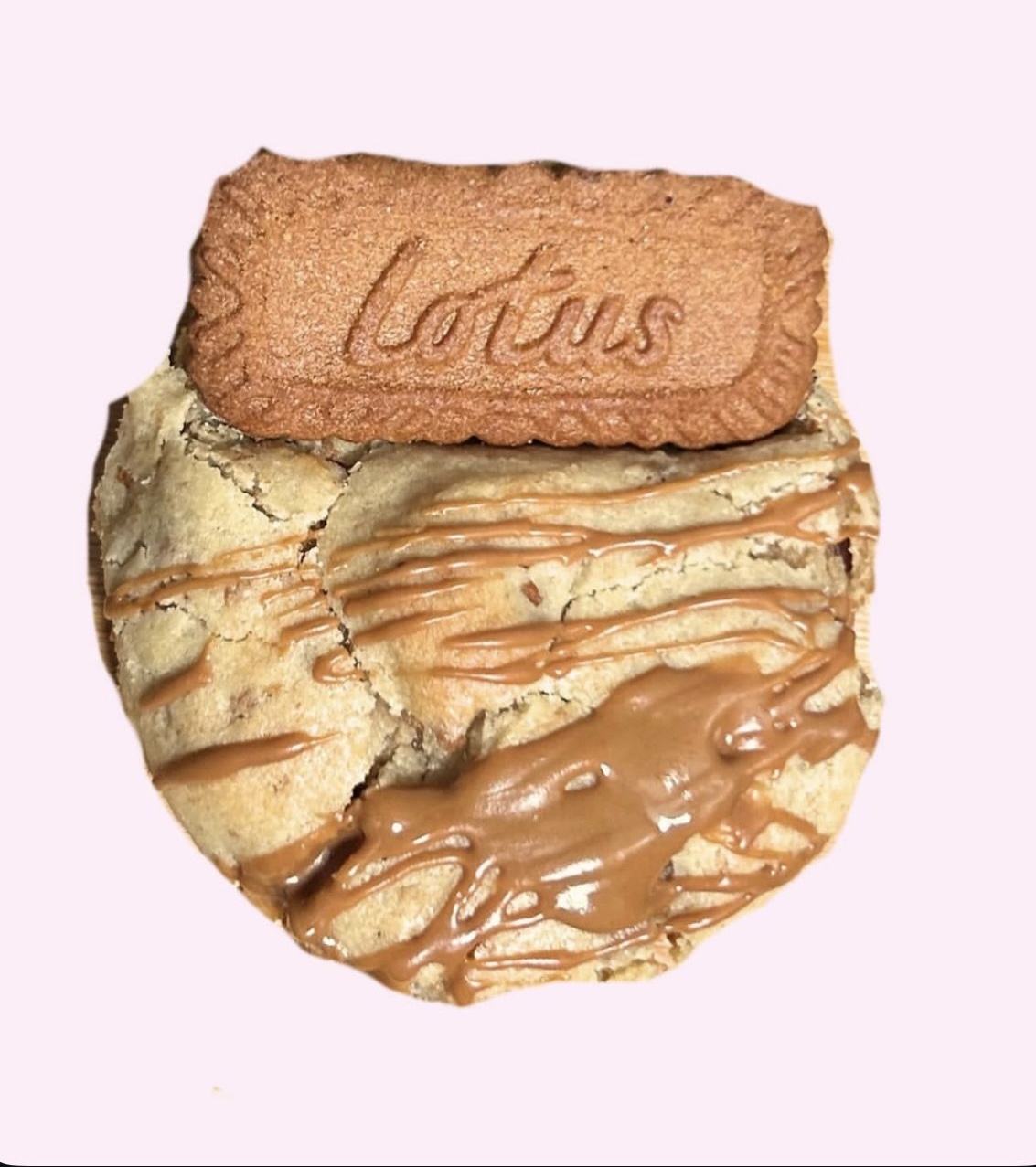 Lotus Biscoff cookie
